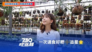 《730玩返轉》一次過食好嘢➕追星🌟