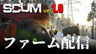 【 SCUM 1.0 】出城の壁を完成させたりちょっとだけお金稼ぎするぞ / 動画用データの下準備とかです #live