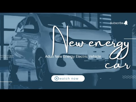 2022 Adult New Energy Electric Vehicle High Speed 100km/h Changan Cheap Car