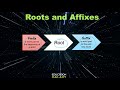 Understanding Roots and Affixes