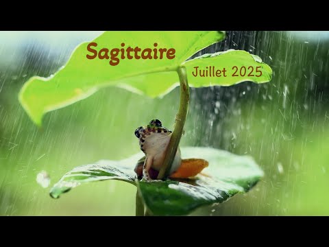 SAGITTAIRE - Juillet 2025 ~ Moi d'abord, les autres après ...
