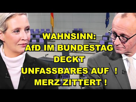 AfD deckt UNFASSBARES AUF! Merz zittert!