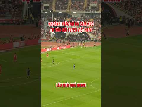 Việt Nam! Việt Nam! Việt Nam! 🇻🇳🇻🇳🇻🇳 #goals #dtvn #nguyenxuanson #hailong #vff #football #aff
