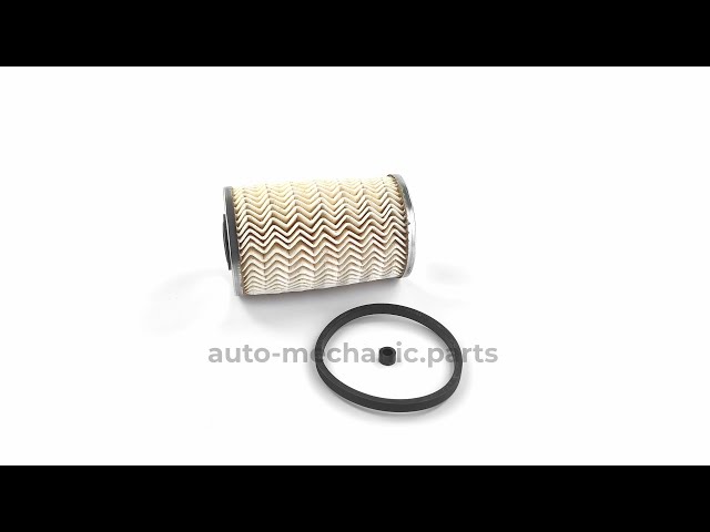 Фільтр паливний Renault Trafic/Master 1.9-3.0dCi 03-, відео - інтерент-магазин Auto-Mechanic