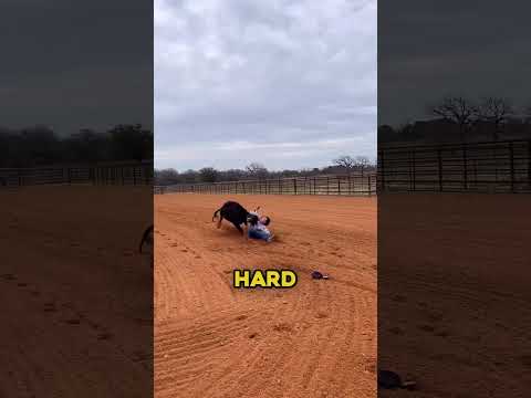 He Dreamed Of Tackling A Bull ๐๐