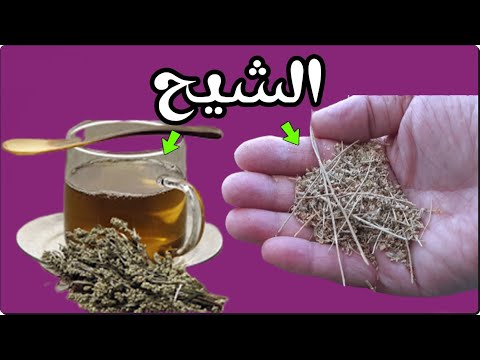 اشرب الشيح على معدة فارغة وبعد 7 أيام هذا ما سوف يحدث لجسمك وفق أحدث الدراسات