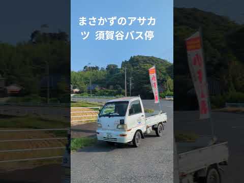 【情熱朝活🌞】須賀谷バス停 いすみ市 お祭り観光 情熱未来予想図 チェンジ&ブレイク いすみに情熱旋風を 持続可能な街づくり フェーズフリータウン まさかずのアサカツ 小路正和 R7/8/26