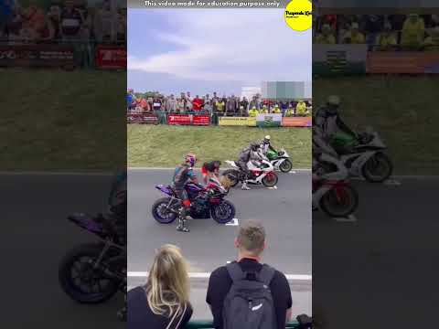 This race was just about to begin | But a Goat Entered the racetrack #respect #shorts #ytshorts