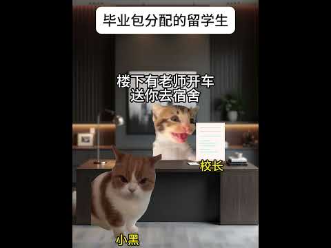 猫の動画サムネイル - 新时代三角贸易 #有趣 #猫meme #猫meme剧场 #内容过于真实  #故事 #貓 #猫猫meme小剧场 #喵不可言