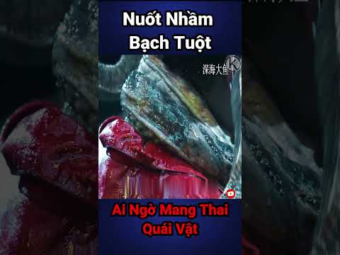 Nuốt Nhầm Bạch Tuột Không Ngờ Mang Thai Quái Vật #reviewphim