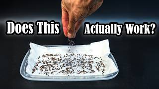 I Tried Growing Microgreens on a Paper Towel (Time-Lapse)