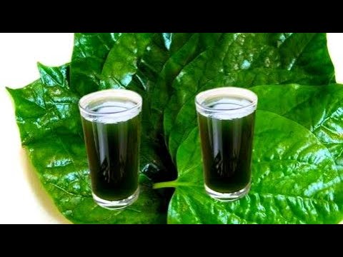 Bài thuốc đơn giản chữa yếu sinh lý nam giới bằng lá lốt