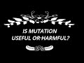Genetic Mutations and Their Effects
