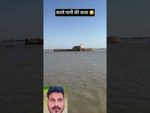 #timelapse, start to finish alone buildlog cabin (wooden house), howto build wooden cabin, surviva