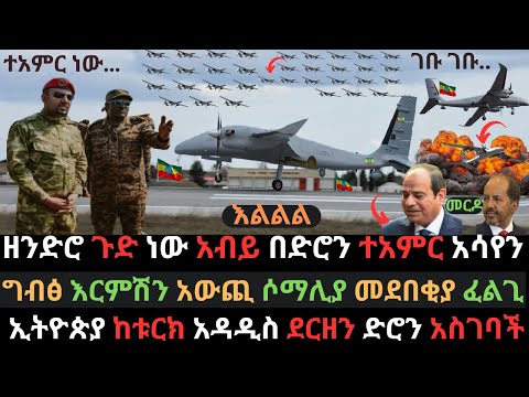 ኢትዮጵያ አዳዲስ ድሮኖች ተረከበች | ግብፅና ሶማሊያ በስጋት ተርበደበዱ | አብይ ከቱርክ አስገባቸው  | Ethio Media | Ethiopian News