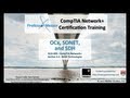 Optical Networking and SONET Standards