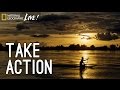 Understanding the Impact of Dams and Fish Conservation