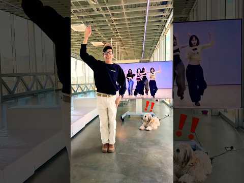 Spaghetti Dance while @TheJessiiShow watches