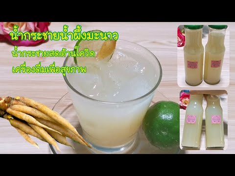 น้ำกระชายน้ำผึ้งมะนาว Finger Root Juice with Honey  & Lime EP.2