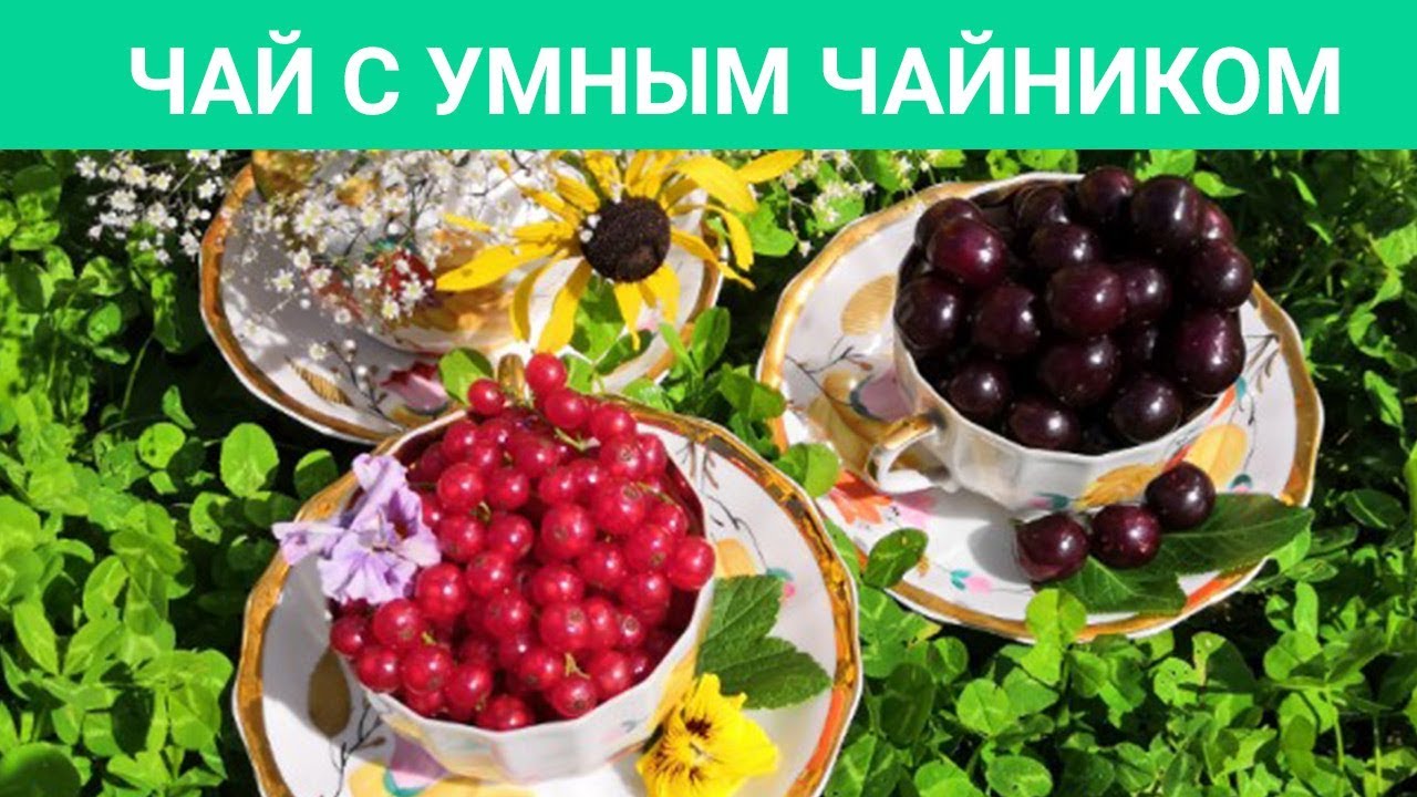 Марокканский тонизирующий чай из российских трав
