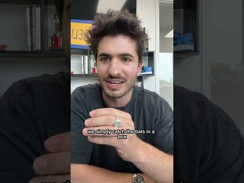 Would you live in this house? 🏡 🦇#realestate #mortgage #homeowner #bats