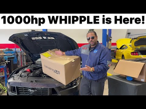 IT’s Here! 1000hp Whipple for DARK HORSE MUSTANG!