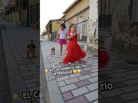 🐶EL CACHORRITO DEL TÍO LA PERSIGUE🤣🤣_RUTH SHORTS #cachorro #risas #naluchivlog
