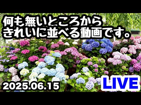 ◆【無】から【有】……       はっ！？