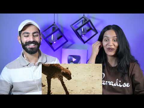 REACTION ON : KAIM ~ NIJJAR | BEAT BLASTER