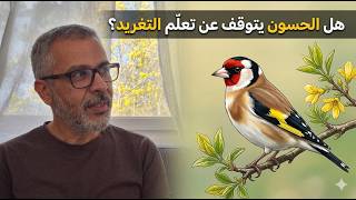 هل يمكن للحسون أن يتعلم بعد العام الأول؟