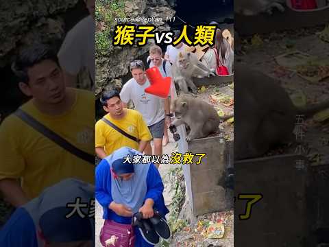 還好省下一筆🕶️