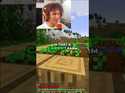 Kwebbelkop