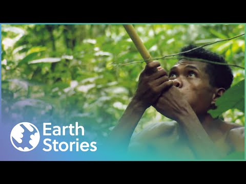 YouTube video thumbnail: How Indigenous Tribes Live in Malaysia