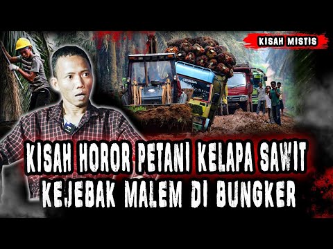 NGERI BANGET!! PERJALANAN HOROR SAAT DI KALIMANTAN, MENINGGAL DALAM BARAK!!