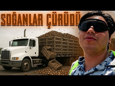 SIKINTILI YÜK - SOĞANLAR ÇÜRÜDÜ - HALDE MEVZU - SINIR POLİSİ ÇEVİRDİ - NEW JERSEY SEFERİ !!