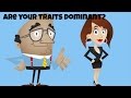 Dominant Traits in Genetics