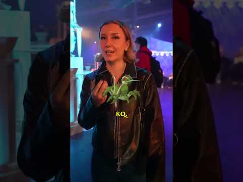 🎤 We hit Hanner and @Skillspecs with a speedy #OSRS Q&A