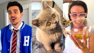 Cat🐈❤ Sad Videos by COSEFNASTYA🥲