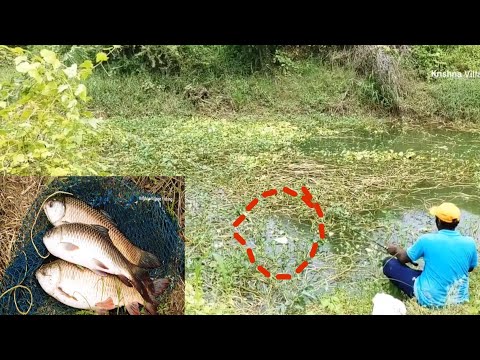 How to Find Rohu Fish 🎣Spot Catching by Single Hook FLOAT FISHING