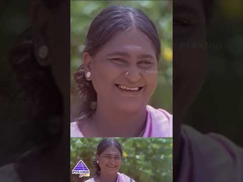 இங்கே | Nalla Vellikizhamaiyile Video Song | Sakkarai Devan Song | Vijayakanth | Sukanya | #ytshorts