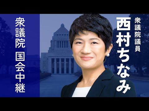2026年5月21日 衆議院 地域活性化・ こども政策・デジタル社会形成に関する特別委員会