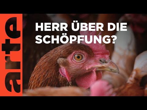 Die Wut - Krieg der Welten | Doku HD | ARTE