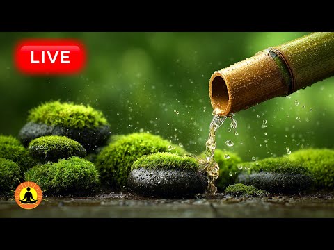 🔴 Peaceful & Relaxing Music for Deep Relaxation & Meditation: Healing Music for Stress Relief 24/7