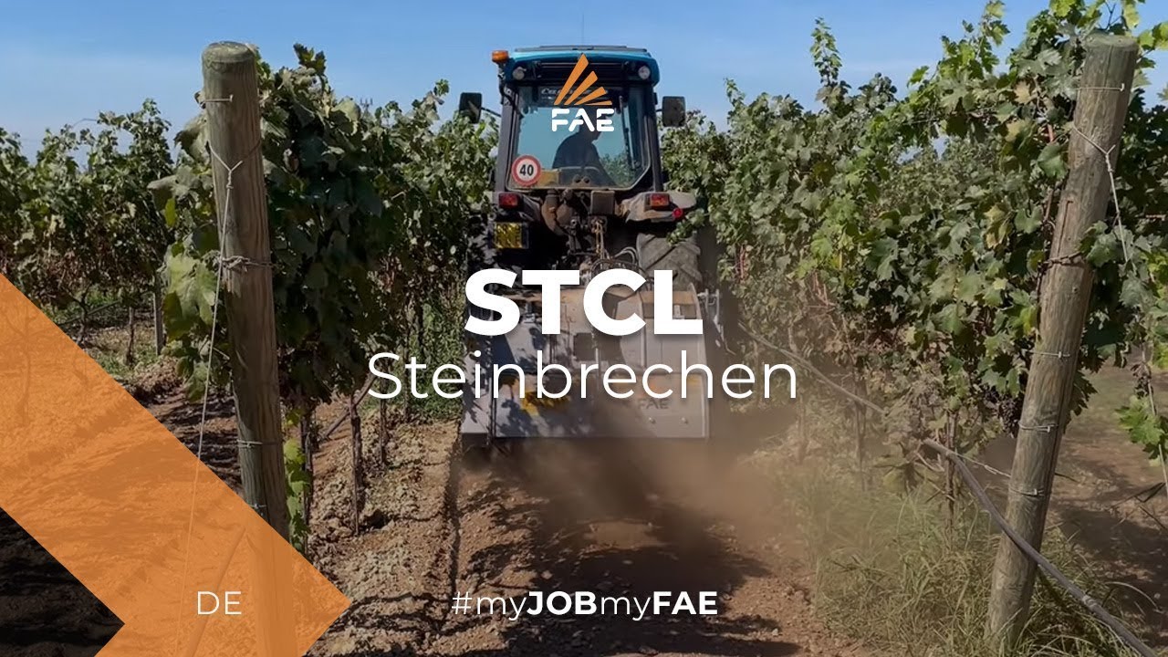 Video - FAE STCL - Der FAE Steinbrecher für Traktoren bei der Arbeit in einem Weinberg in Apulien (IT)