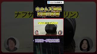 ホルムズ海峡封鎖によるマーケットへの影響　#相場見通し　#ドル円予想