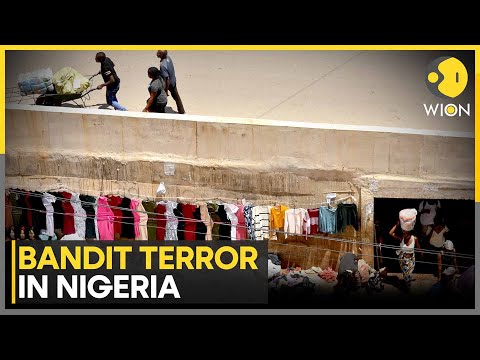 Armed Violence Rocks Nigeria's Zamfara; At Least 33 Killed | WION