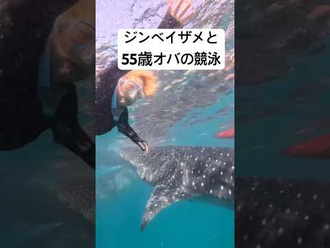 ジンベイザメと泳ぎたい!#55歳オバの挑戦