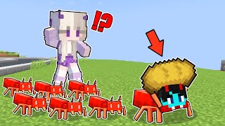 PepeSan became ANT in Minecraft!