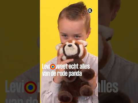 Levi vraagt zich af welke kleine beestjes de rode panda eet | Kijk mij nou | Kindertijd KRO-NCRV