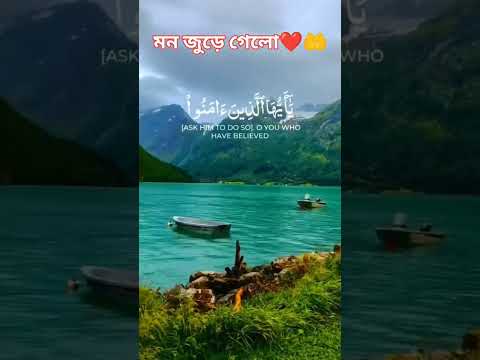 মন জুড়ানো তেলওয়াত ❤️🤲 #shortvideo #viralvideo #viral #short